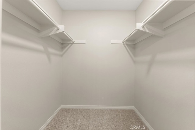 spacious closet with carpet