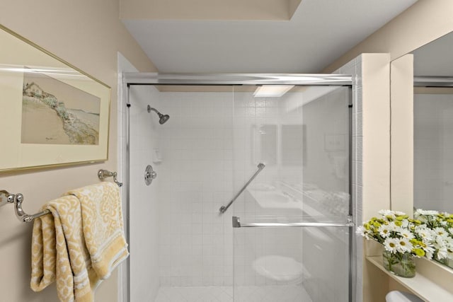 bathroom featuring a shower with shower door