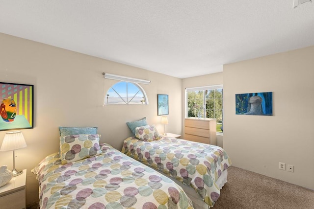 carpeted bedroom with multiple windows