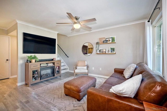 living room with ceiling fan, crown molding, and light hardwood / wood-style floors