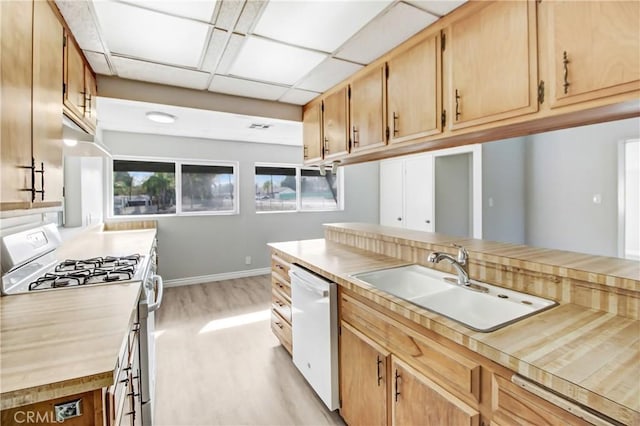 kitchen featuring wood counters, white appliances, a paneled ceiling, light hardwood / wood-style flooring, and sink