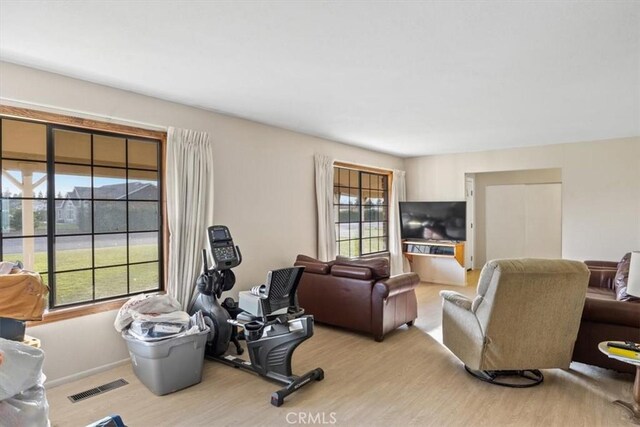 exercise area featuring light hardwood / wood-style floors and plenty of natural light