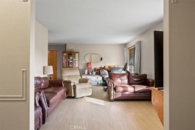 living room featuring light hardwood / wood-style flooring