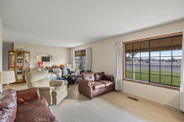 living room featuring light hardwood / wood-style floors