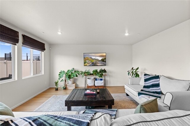 living room with light hardwood / wood-style floors