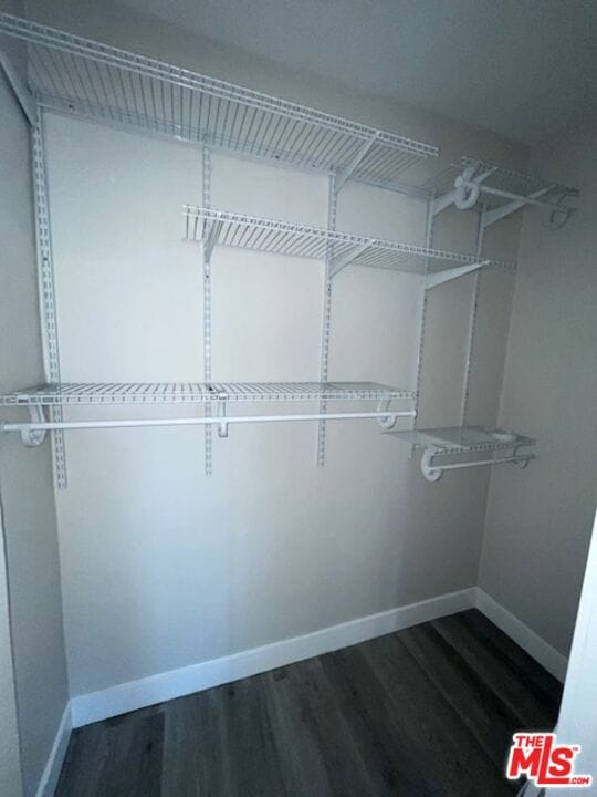 walk in closet featuring dark wood-type flooring