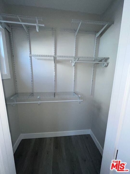 spacious closet featuring dark hardwood / wood-style flooring