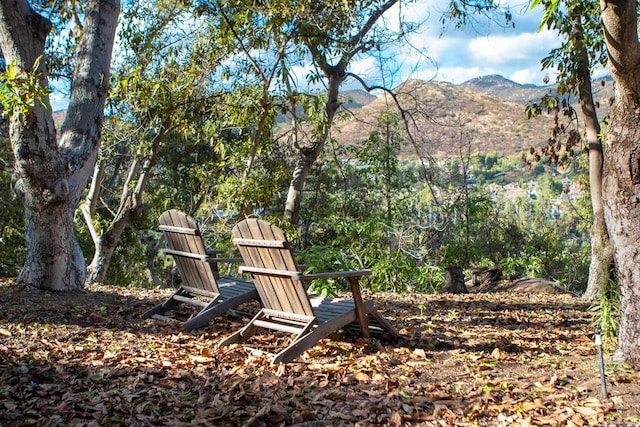 view of yard with a mountain view