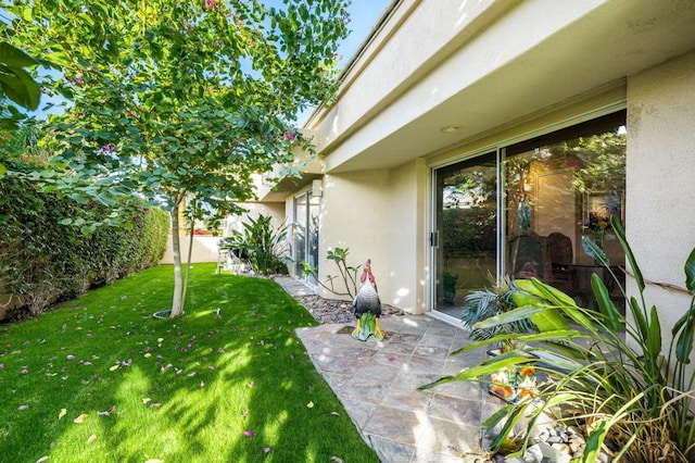 view of yard featuring a patio area