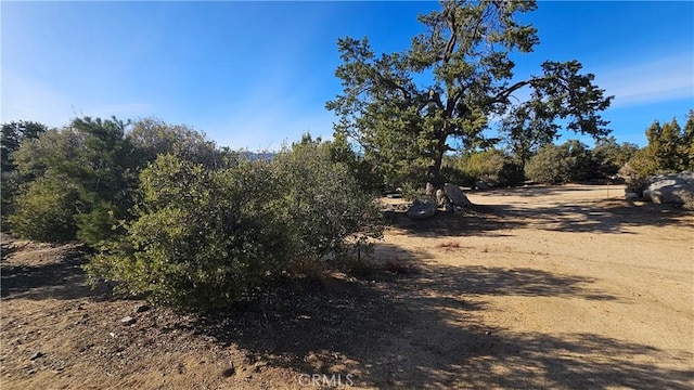 view of local wilderness with a rural view