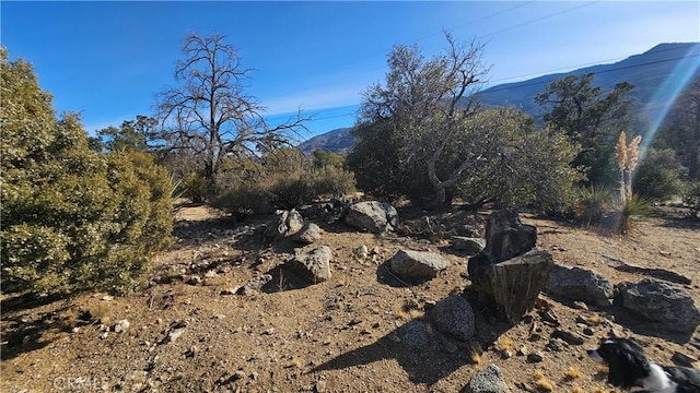 view of mountain feature