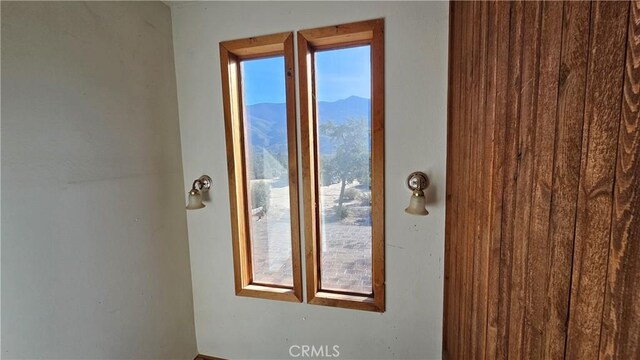 room details with a mountain view