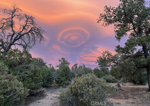 view of nature at dusk