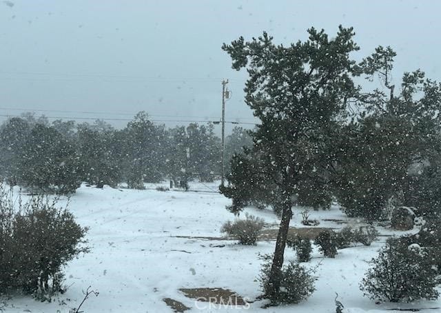 view of yard covered in snow