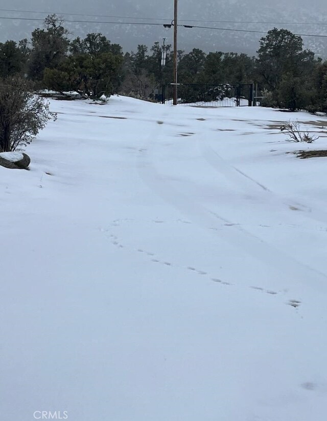 view of yard covered in snow