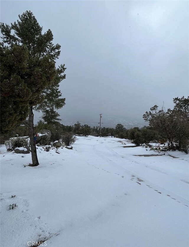 view of yard covered in snow