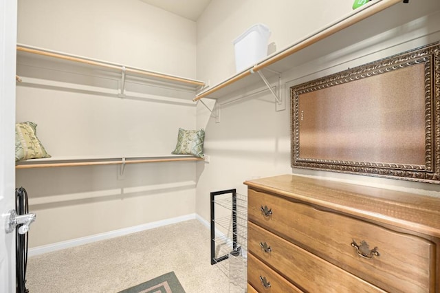 spacious closet with light carpet