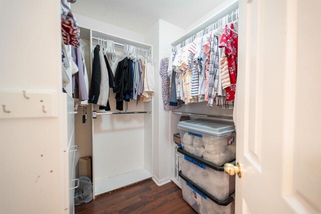 spacious closet featuring dark hardwood / wood-style floors