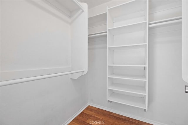 walk in closet featuring wood-type flooring