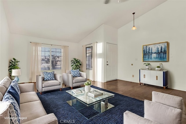 living area featuring high vaulted ceiling and wood finished floors