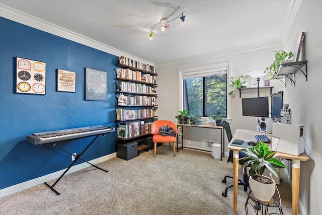 carpeted home office with crown molding