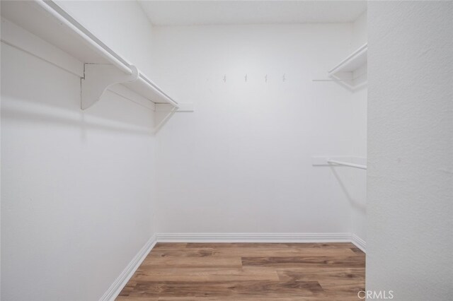 spacious closet featuring hardwood / wood-style floors