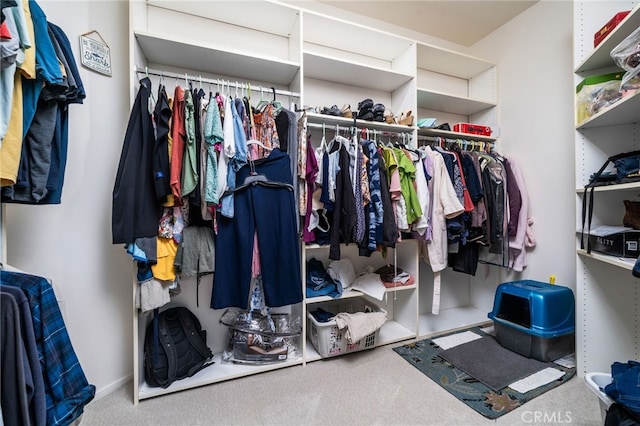 walk in closet featuring carpet