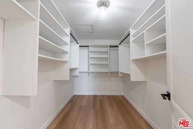 spacious closet with wood-type flooring