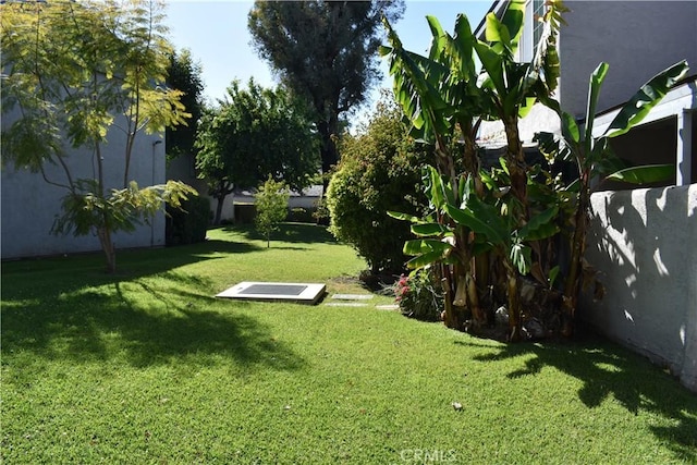 1718 Puente Ave Unit 40, Baldwin Park, CA 91706 - view of green lawn