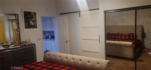 bedroom featuring carpet floors and a closet