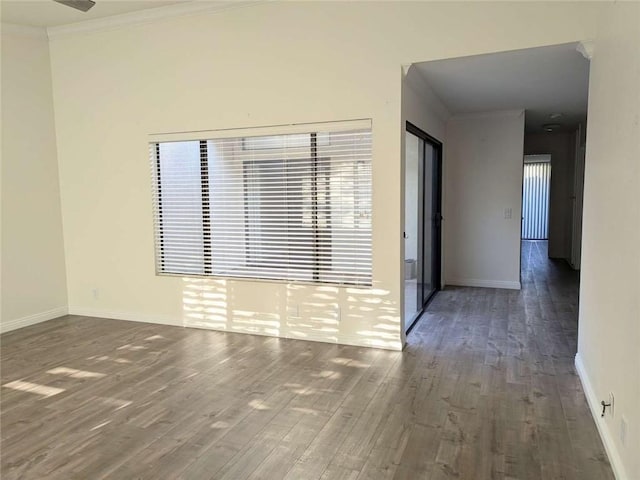 empty room featuring dark hardwood / wood-style flooring and crown molding