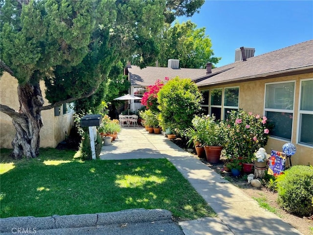 view of yard with a patio