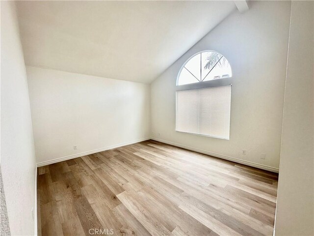 spacious closet with wood-type flooring