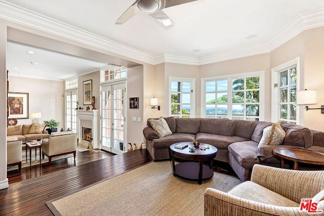 living room featuring ceiling fan, dark hardwood / wood-style floors, and crown molding