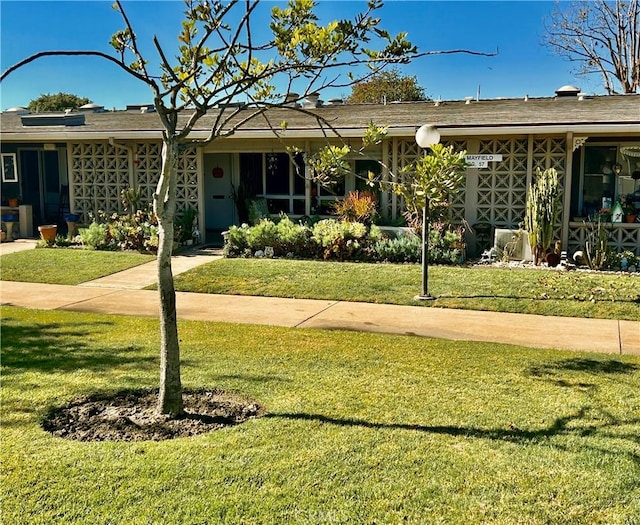 ranch-style house with a front yard