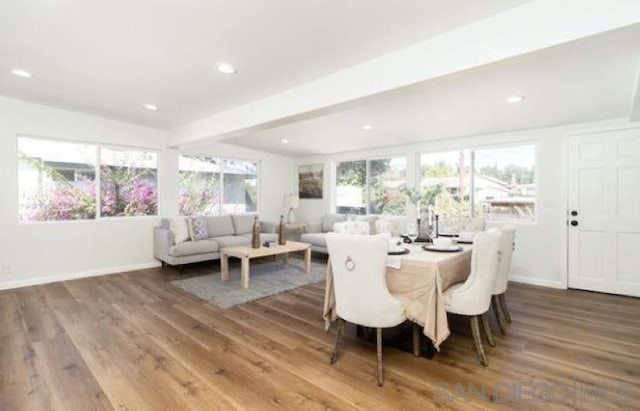 dining area with hardwood / wood-style flooring