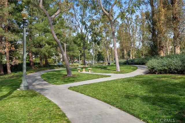 view of community featuring a yard