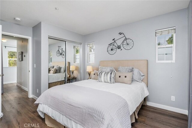 bedroom featuring dark wood-type flooring and a closet