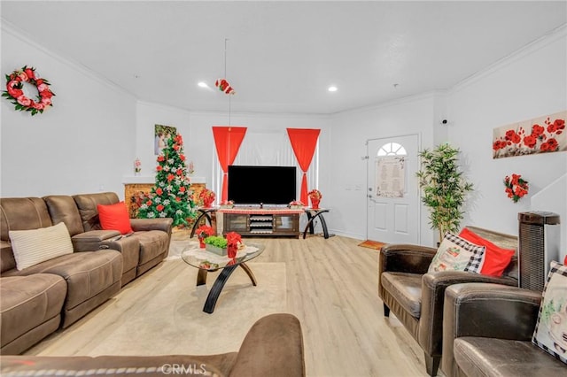 living room with wood-type flooring and crown molding