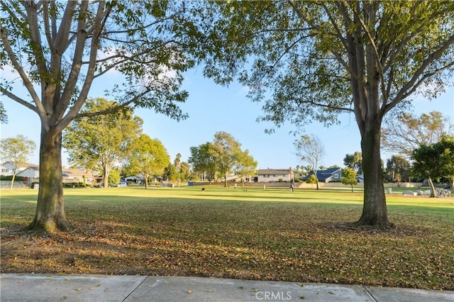 surrounding community featuring a yard