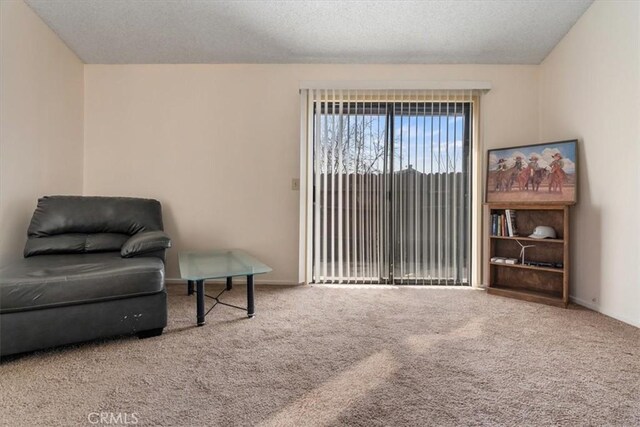 living area featuring carpet floors and a textured ceiling