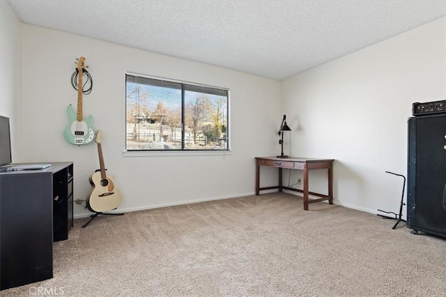 misc room featuring light colored carpet and a textured ceiling