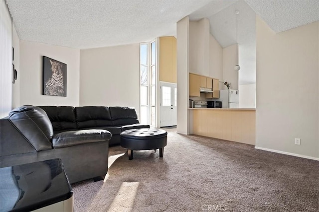 living room with a textured ceiling and light colored carpet