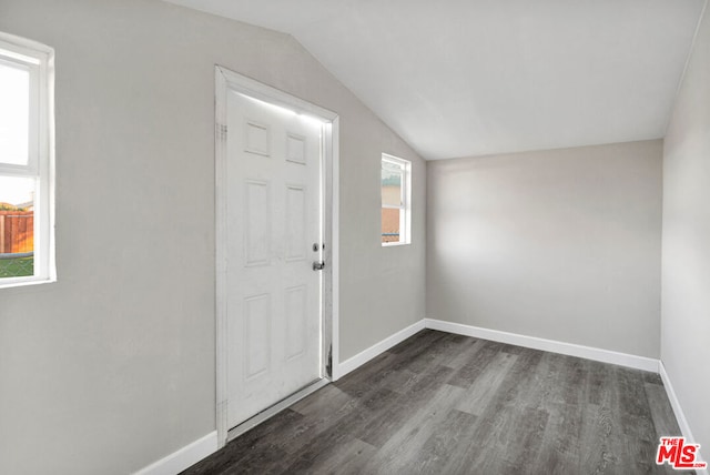 foyer featuring dark wood-type flooring, plenty of natural light, and vaulted ceiling