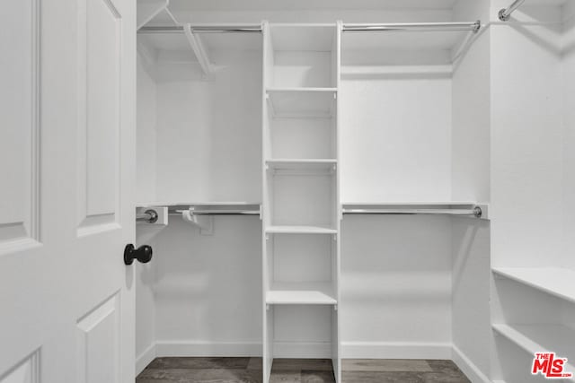 spacious closet with hardwood / wood-style floors