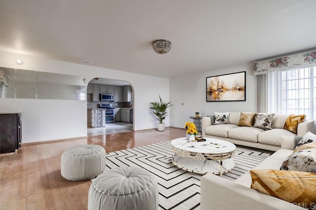 living room featuring wood-type flooring