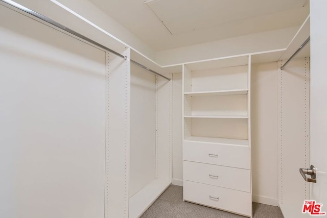 walk in closet featuring carpet