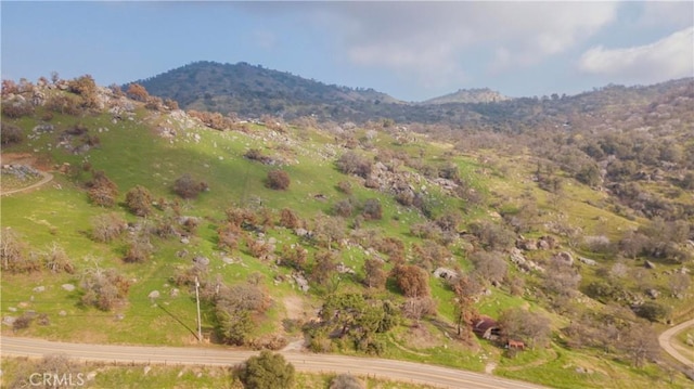 0 Pepperweed, Squaw Valley CA, 93675 land for sale