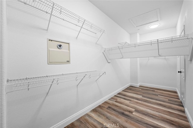 spacious closet with wood-type flooring