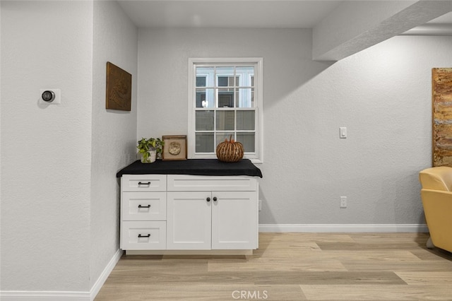 interior space with light wood-type flooring